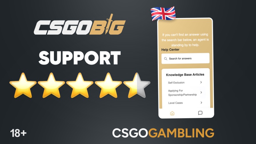 csgobig support